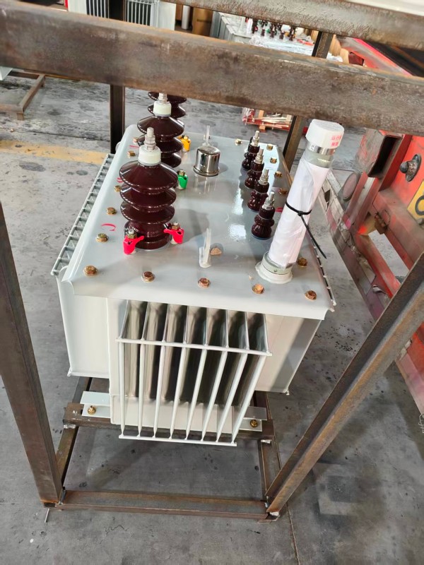 S13‑1000kVA <a href='https://maduo.xdbyq.cn/youjinshi/' target='_blank' title='玛多油浸式变压器'><strong>玛多油浸式变压器</strong></a> 大型厂区 S13 玛多玛多玛多油浸式变压器 S13‑1000kVA 玛多玛多玛多油浸式变压器 大型厂区 S13 玛多玛多玛多油浸式变压器